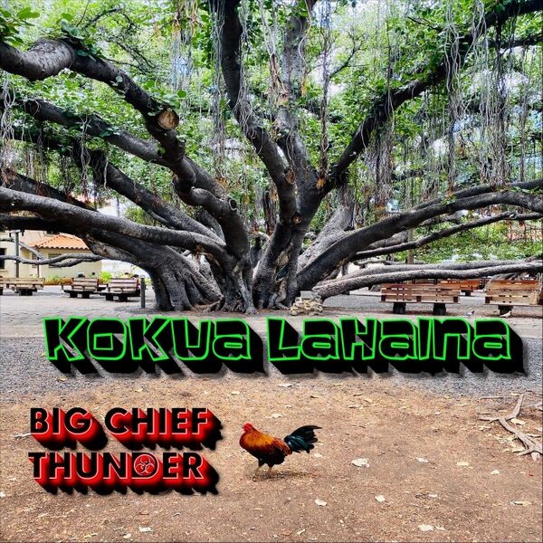 Cover art for Kokua Lahaina